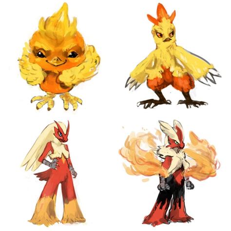 torchic evolve|Torchic Location, Learnset, and Evolution .